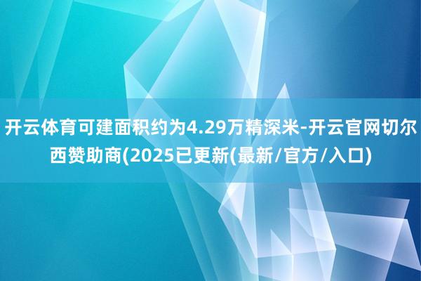 开云体育可建面积约为4.29万精深米-开云官网切尔西赞助商(2025已更新(最新/官方/入口)