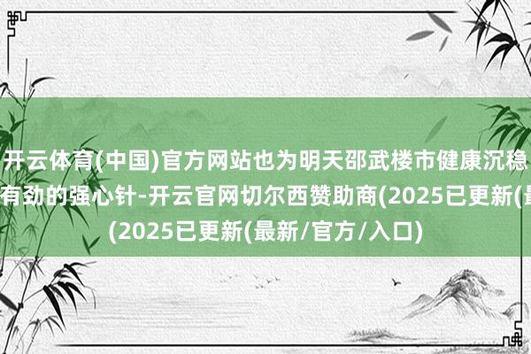 开云体育(中国)官方网站也为明天邵武楼市健康沉稳发展注入了一剂有劲的强心针-开云官网切尔西赞助商(2025已更新(最新/官方/入口)