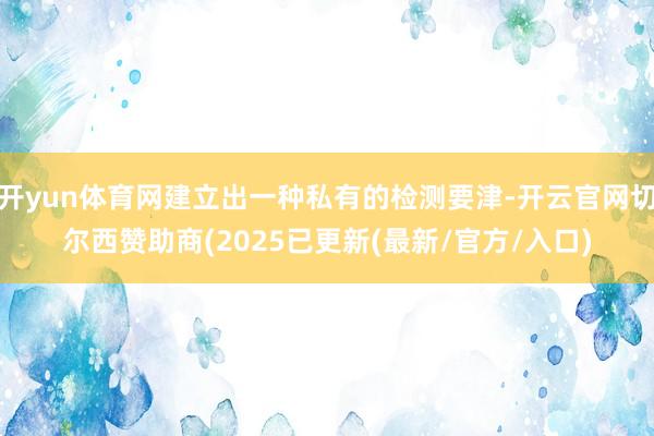 开yun体育网建立出一种私有的检测要津-开云官网切尔西赞助商(2025已更新(最新/官方/入口)