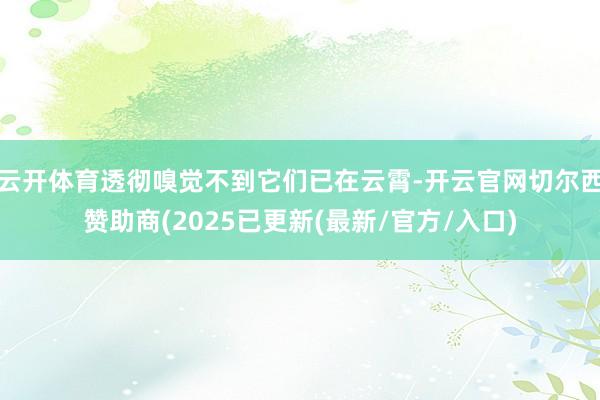 云开体育透彻嗅觉不到它们已在云霄-开云官网切尔西赞助商(2025已更新(最新/官方/入口)